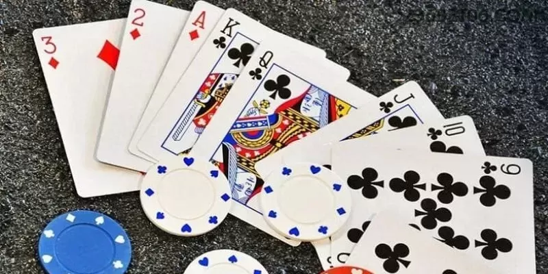 Suporte 236bet